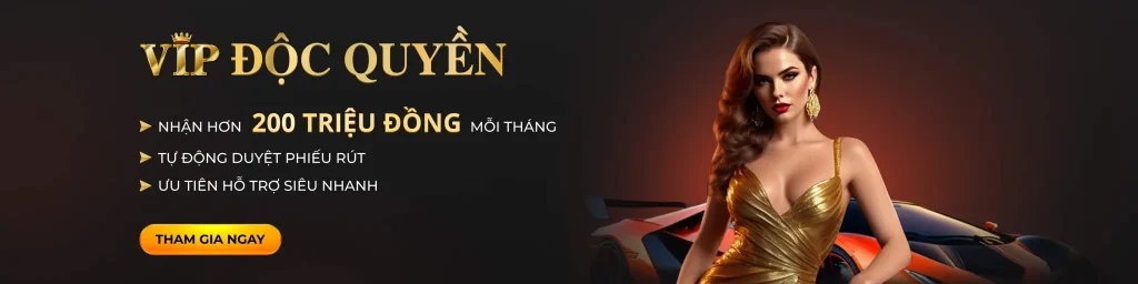 gi8 banner2